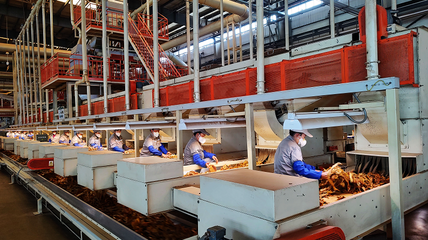 讓建設綠水青山成為煙草奮斗的驕傲